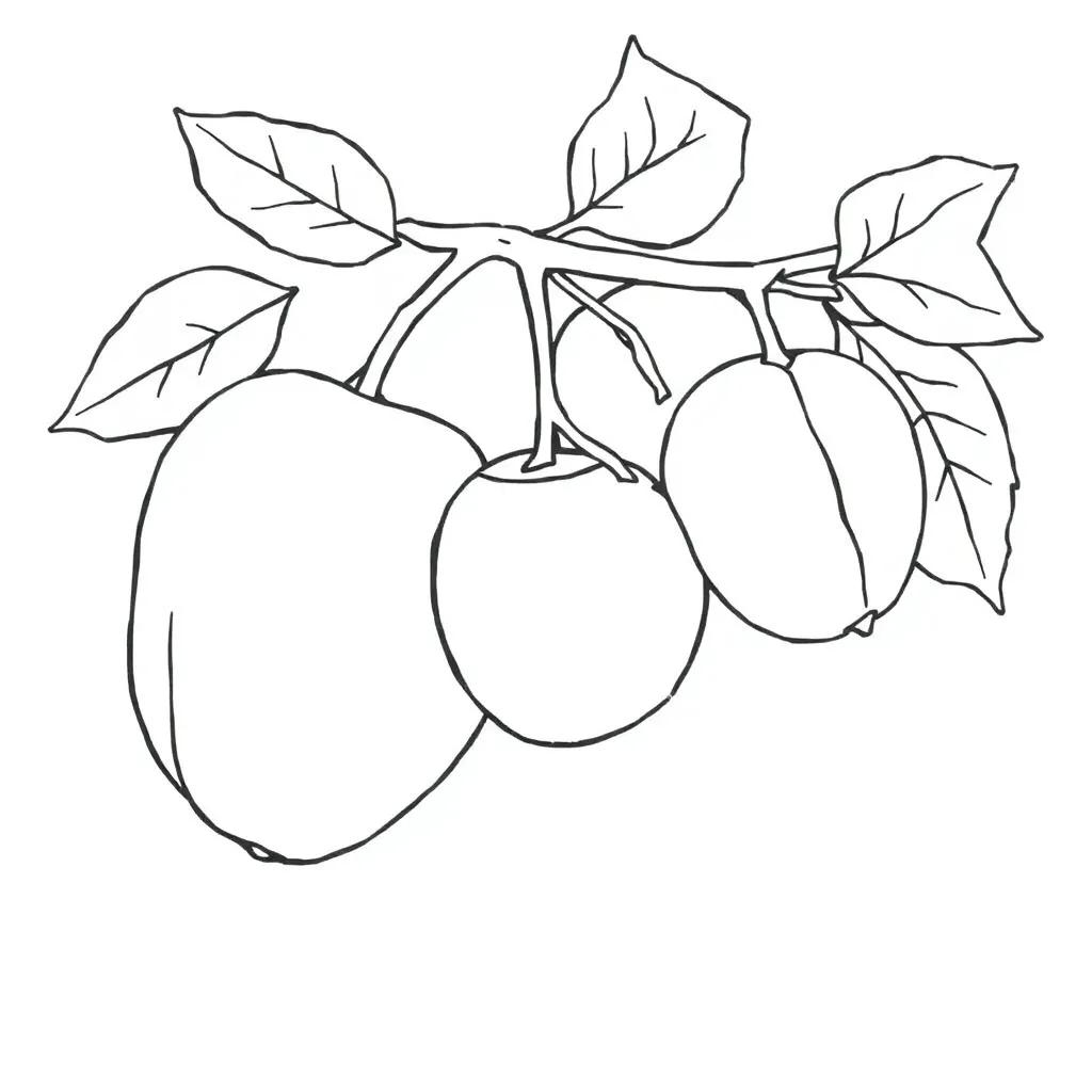 Free Fruit Of The Spirit Coloring Pages