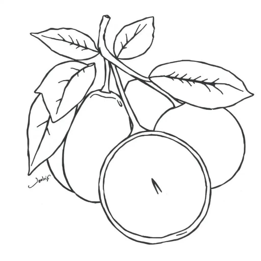 Fruit Printable Coloring Pages
